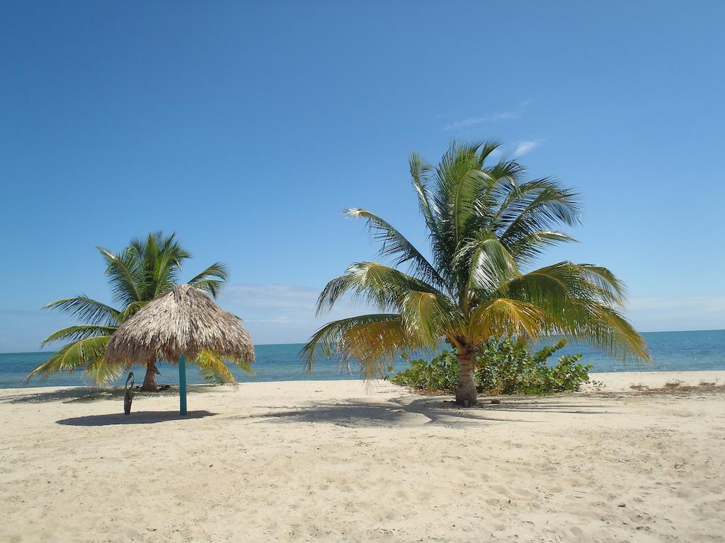 Michelo Suites Placencia Extérieur photo